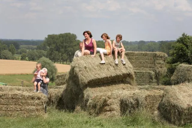 Vakantiewoning Wambashoeve 