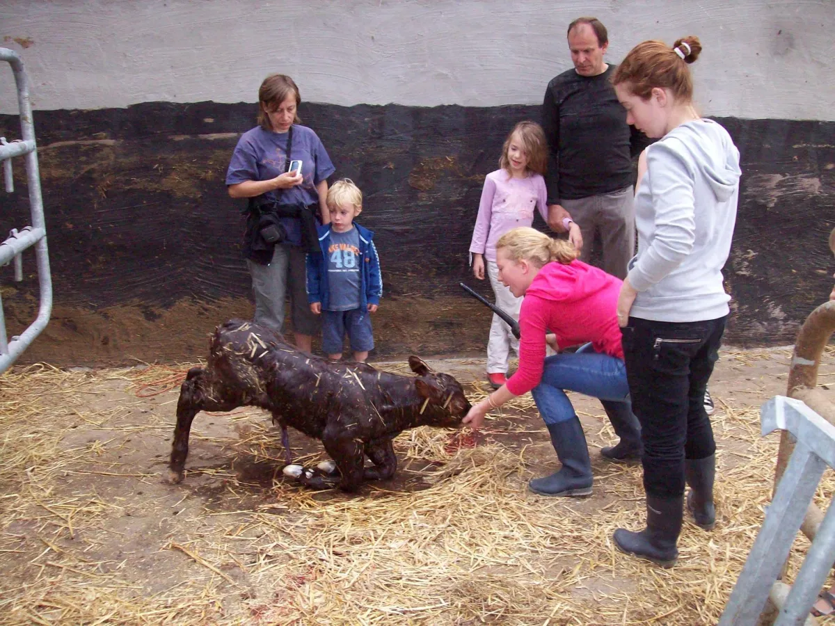 't Hof Ten Hullenhove