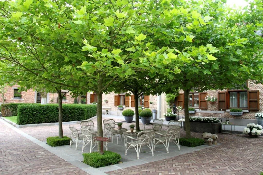 Hof te Spieringen