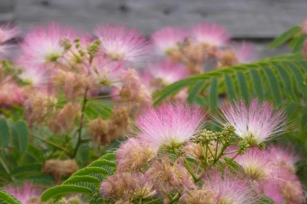 vakantiewoning Jérome