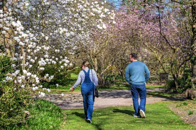 Achteraanzicht van een man en een vrouw die tussen de bloesems wandelen in een park