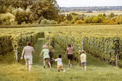 Mensen lopen naar wijnranken op een wijndomein