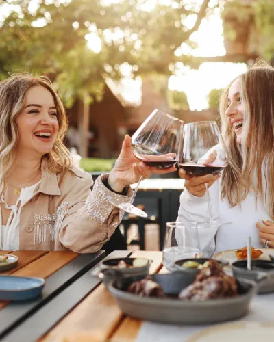 Twee vrienden klinken aan tafel