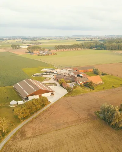 Hof De Abeeleboom - 2025