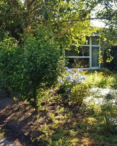 Vakantiehuis Salamander 