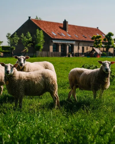 Hoevehotel Ter Haeghe