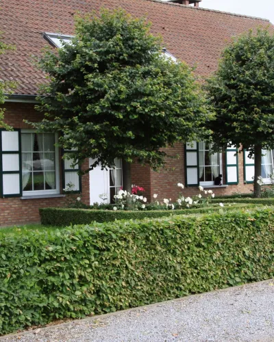 Soerenboshoeve VW - 2023