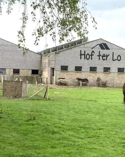 Hof ter Lo 1 - 2 - 3