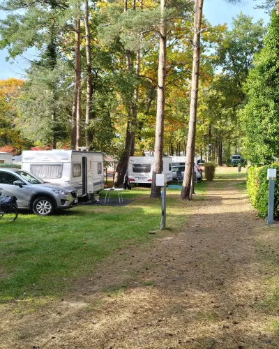 Camping Het Swinnenbos