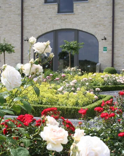 La Vie en Roses - 2023