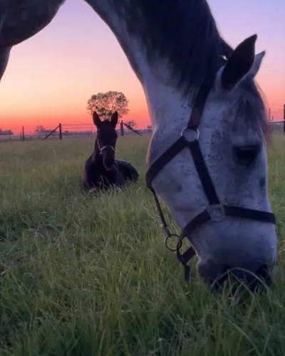 Gastenkamers Ter Putte