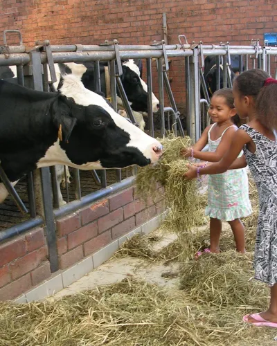 Vakantiehoeve Hanneken Tas - 2023