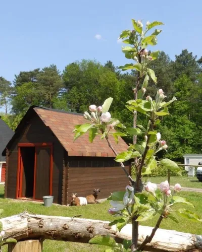 Camping De Zeven Geitjes