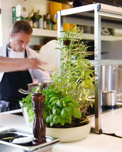 Vous Lé Vous - 2023