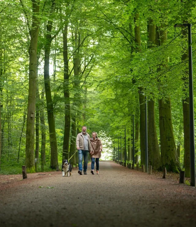 Koppel wandelt met hond in een bos