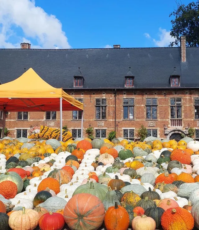 Vele uitgestalde pompoenen liggen in de voorgrond van een kasteel