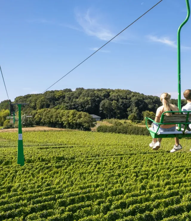 Twee mensen zitten in een zetellift en maken een foto van de omgeving met wijnranken
