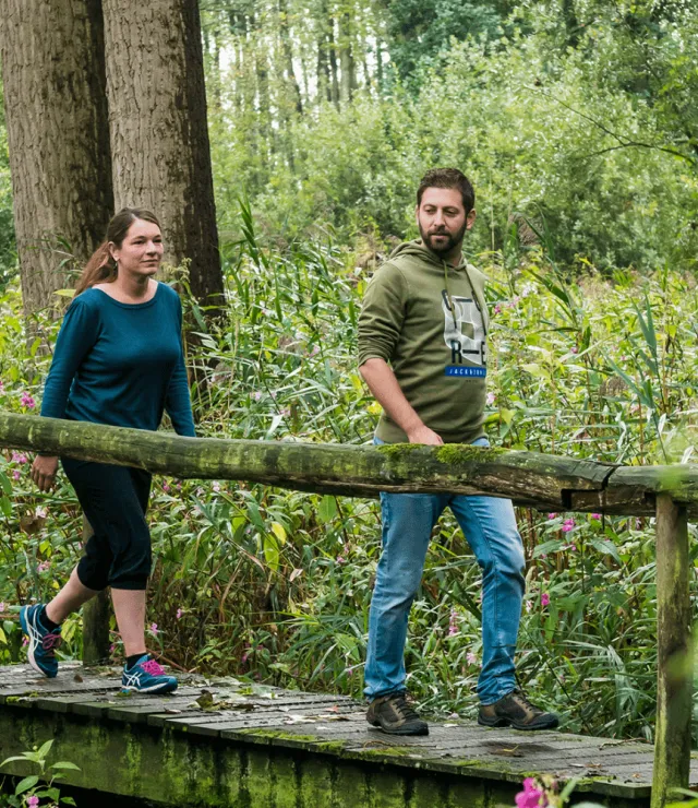 Mensen wandelen in een bos over een houten brug