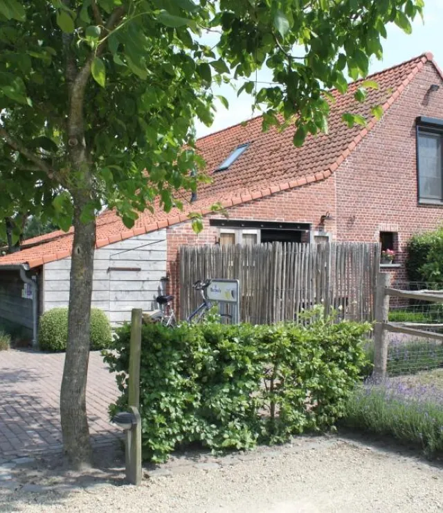 de Rijcke Rust